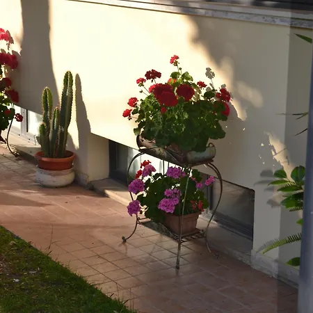 Hotel Maita-2